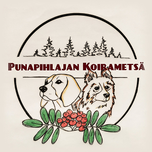 Punapihlajan koirametsä